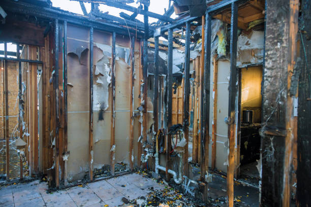 Professional Fire Damage Removal technician working in Crystal City, TX